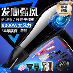 電吹風機髮廊家用大風力理髮店大功率負離子護髮靜音速乾冷熱風筒 歷史價格詳細信息