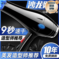 髮廊吹風機大功率電吹風藍光負離子護髮吹風筒 歷史價格詳細信息
