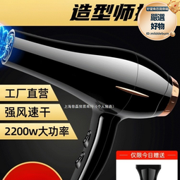 電吹風機髮廊家用大功率髮型師理髮店專用風筒電動 歷史價格詳細信息