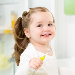 SEAGO賽嘉新款聲波電動牙刷替換刷頭震動成人學生入門牙刷SG-548    全台最大的網路購物市集 歷史價格詳細信息