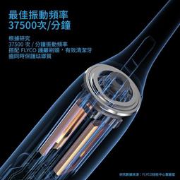 FLYCO FT7105TW 電動牙刷 獨家弧面設計 無線充電 保固兩年 內附充電牙刷架 附刷頭 音波電動牙刷 抖音熱賣 歷史價格詳細信息