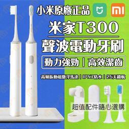 【精品】現貨  電炸鍋110V 油炸鍋 電炸爐 油炸機 304不鏽鋼炸爐 2.5L電炸爐 炸薯條機 炸雞鍋 歷史價格詳細信息