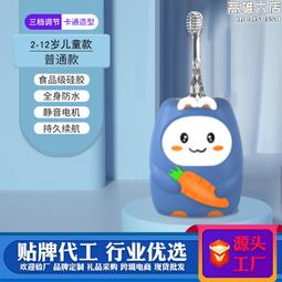 軟毛電動牙刷USB充電長續航聲波電動牙刷便攜電動牙刷 歷史價格詳細信息