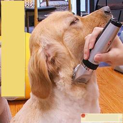 熱賣免運 剃毛器 電推剪dogdog剃毛器貓咪泰迪剃毛刀推毛機器dog毛充電動推子工具滿300出貨 歷史價格詳細信息