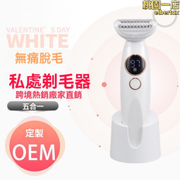 電動剃毛器 電動刮毛器 電動去毛器 電動修毛器 除毛儀 修毛器 去毛器 刮毛器 剃毛器 充電款剃毛器 歷史價格詳細信息