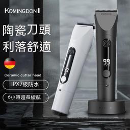 德國新款髮廊吹風機家用大功率靜音理髲店負離子護髮吹風機 歷史價格詳細信息