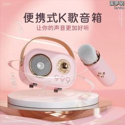 k歌音箱無線麥克風迷你音箱 手提款便攜戶外音響 歷史價格詳細信息