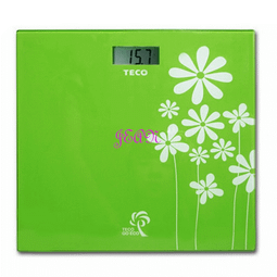 【TECO東元】時尚吹風機 XYFXZ002 歷史價格詳細信息