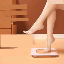 體重秤家用高精準電子秤小型充電體脂秤家庭減肥稱重計人體稱體重 歷史價格詳細信息