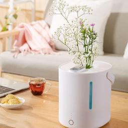 空氣加濕器 薰香機 香氛機 水 氧機 加濕器 香薰機 大霧量靜音臥室辦小型凈化除菌噴霧機 芳香機 香薰機 歷史價格詳細信息