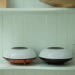 星蝶電鍋 ST-7966 10人份電鍋 蒸.煮.燉.自動保溫多功能電鍋~ 歷史價格詳細信息