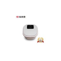 spa按摩衝浪浴缸過濾紙芯嬰兒遊泳館兒童遊淨化清潔泳池濾芯 歷史價格詳細信息