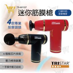 TRISTAR 迷你便攜電動按摩筋膜槍 TS-M1107 歷史價格詳細信息