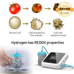 Detox water純天然維他命水：風靡紐約、日本的70道罐裝美容行動飲，消脂、排毒，營養滿分生活小書窩 歷史價格詳細信息