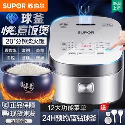 藍鑽球釜電飯鍋多功能煮飯鍋4l大容量智能電飯鍋2人至7人 歷史價格詳細信息