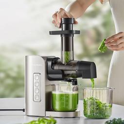 原汁慢磨機 家用原汁機 家用汁渣分離水果機 （榨汁機 果汁機 果菜機 原汁機） 歷史價格詳細信息