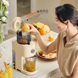 榨汁機 汁渣分離家用水果原汁機 全自動果蔬機多功能慢磨商用炸果汁機 歷史價格詳細信息