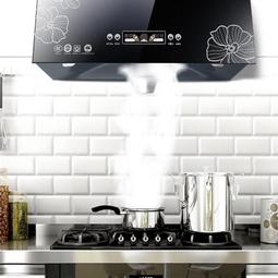 抽油煙機吸油煙機家用新款廚房大吸力側吸脫排煙機抽菸機 歷史價格詳細信息