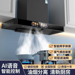 智能語音吸頂音響嵌入式家用客廳3d環繞懸吊式天花板音箱家庭背景音樂 歷史價格詳細信息