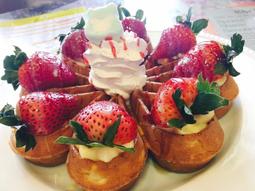 營業用厚型鬆餅機 220V 只使用8個月 ????️&zwj;????萬能中古倉????️&zwj;???? 歷史價格詳細信息