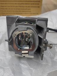 Viewsonic 投影機燈泡RLC-079，適合機型PJD7820HD、PJD7822HDL、VS14937 歷史價格詳細信息