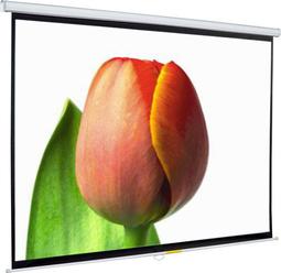 100吋4:3/16:9白玻纖 捲簾式 手拉投影布幕【福滿來】手動投影布幕 投影機布幕 電影投影螢幕 家用商用APCX 歷史價格詳細信息