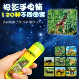 現貨 兒童投影手電筒發光玩具早教識圖趣味卡通投影儀禮品地攤 卡片 歷史價格詳細信息