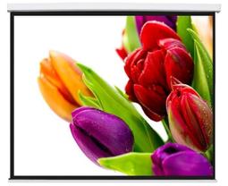 【HPT影音館】EliteScreens 億立 100吋 4:3 可攜型交叉式彈簧桿地拉幕 原廠保固 F100XWV1 歷史價格詳細信息