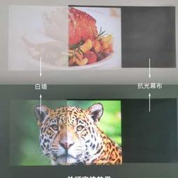 米夕特高清投影布幕家用抗光壁掛投影牆投幕布84寸100寸120寸免打 歷史價格詳細信息