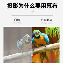 【好康免運】z fold5紋電鍍手機殼適用z fold4平整鉸鏈全支架保護 歷史價格詳細信息