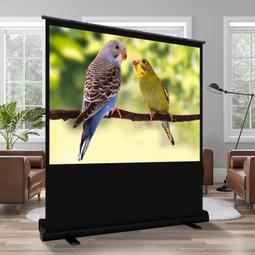 地拉幕布投影幕布 便攜式移動折疊84寸100寸落地幕布背景墻家用臥室全面屏手動升降自鎖會 歷史價格詳細信息