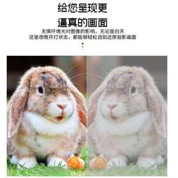 【好康】金屬抗光幕布白天直投投影儀幕布家用客廳抗O光布開燈看投影布幕 歷史價格詳細信息