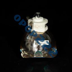 NEC NP-V230+V260G/VE280X+/VE281X/V280+/V280X+投影機儀燈泡 歷史價格詳細信息