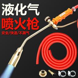 燒豬毛烙豬毛電燙豬皮烙肉器烙毛除毛神器洛鐵家用電烙鐵炮烙燒肉 歷史價格詳細信息