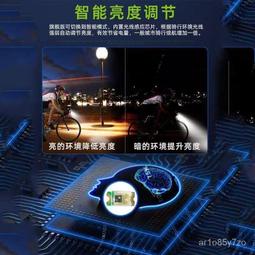 自行車燈 永久自行車usb充電前燈自行車山地車磨砂鋁合金雙頭車前燈裝備 歷史價格詳細信息