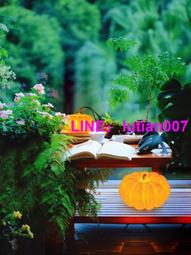 創意設計戶外藤編桌椅庭院陽臺鋼化玻璃防水室外露天桌椅沙發組合 歷史價格詳細信息