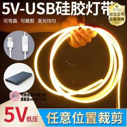 公司LED燈條 燈帶 超亮led低壓燈帶可充電式5V電池款usb柔性矽膠線條霓虹自粘軟燈條 歷史價格詳細信息
