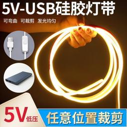 LED燈條 燈帶 超亮led低壓燈帶可充電式5V電池款usb柔性矽膠線條霓虹自粘軟燈條  露天市集  全台最大的網路購物 歷史價格詳細信息