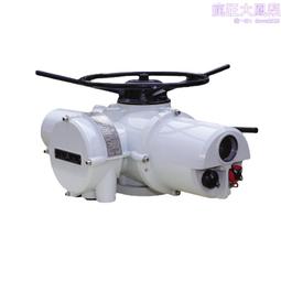 羅託克IQ40非侵入設計物聯網遠程控制ExdⅡCT4防護等級IP68 歷史價格詳細信息