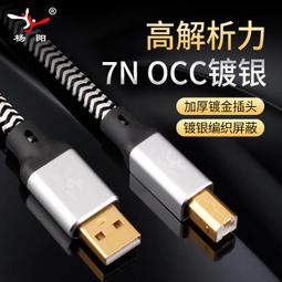 楊陽YYAUDIO 發燒主音箱線單晶銅單晶銀混編喇叭線HiFi音響連接線喇叭線心願便利店 歷史價格詳細信息