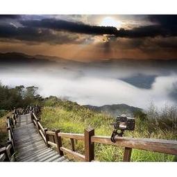 【台灣】 萬用烘罩 烘髮風罩 烘罩 烘髮罩 捲髮烘罩 通用烘罩 熱風罩 吹風機罩 吹風機烘罩 美髮 美妝 歷史價格詳細信息