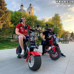 哈雷電動車碟剎泵前後剎車下泵左右油剎上泵油管液壓總成碟剎盤 歷史價格詳細信息