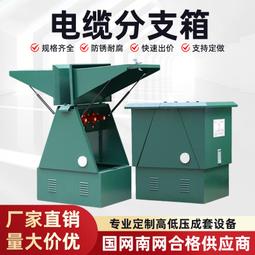 10kv電纜分支箱不鏽鋼分接箱戶外絕緣歐式高壓電纜分支箱 歷史價格詳細信息