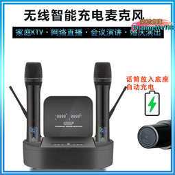 專業無線話筒一拖二u段調頻音效卡拉ok會議金屬麥克風 歷史價格詳細信息