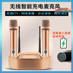 真u段無線麥克風音響戶外音箱話筒主持促銷專業會議鵝頸臺式 歷史價格詳細信息