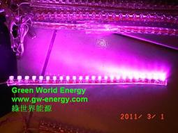 24cm-903短款護胯塑腰W鋼骨排列透氣網眼橡膠腰封專業健身運動束 歷史價格詳細信息