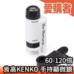 日本Kenko Artos 8X42 W 雙筒望遠鏡 歷史價格詳細信息