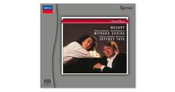 ESOTERIC 二嫂唱片 ESSD-9014910453 歷史價格詳細信息