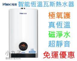 鴻茂【H-1301-NG1】13公升強制排氣屋內型FE式熱水器 歷史價格詳細信息