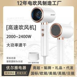 電吹風電家用大小功率速干護發學生宿舍吹風筒藍光負離子折疊冷熱吹風機 歷史價格詳細信息